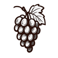 Une grappe de raisin d'un vin de saint emilion